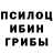 Псилоцибиновые грибы Psilocybine cubensis Abhijeet Upadhyay