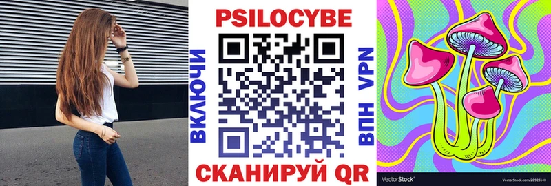 Псилоцибиновые грибы Psilocybe  Прокопьевск 